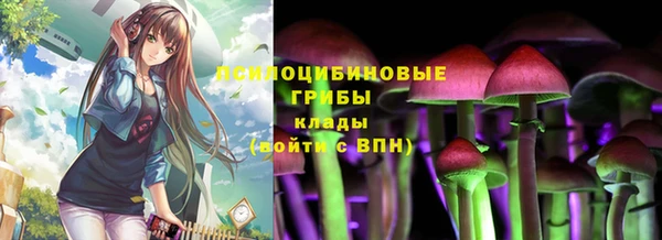 таблы Елабуга
