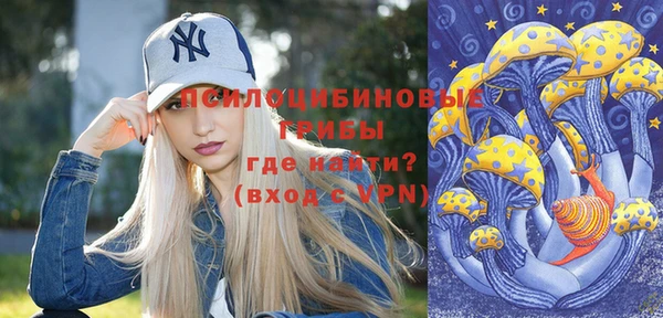 apvp Гусь-Хрустальный