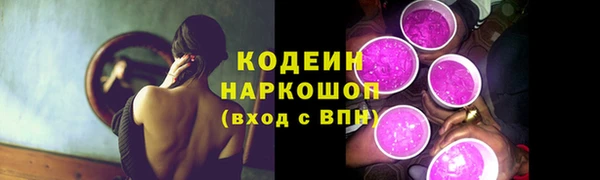 скорость Ельня