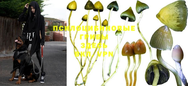 синтетический гашиш Гусиноозёрск