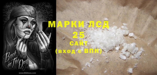 индика Елизово