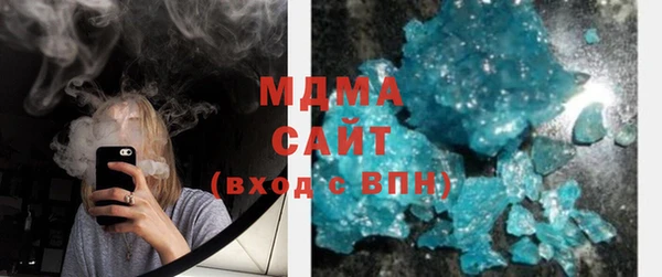 индика Елизово
